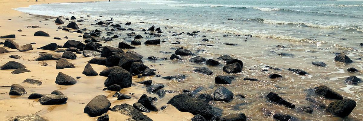 f31e44_0fcbc7fe3c8346a9a3865b851c53e6bd_mv2