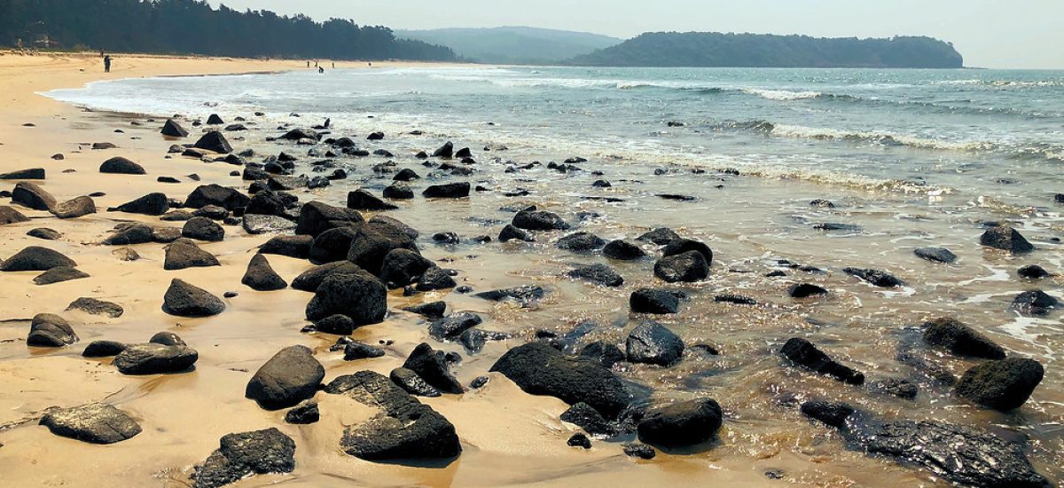 f31e44_0fcbc7fe3c8346a9a3865b851c53e6bd_mv2