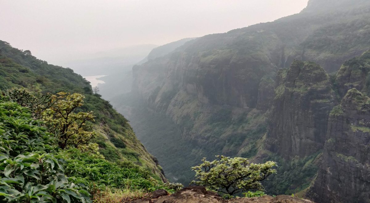 img-20201024-175032-cropped-1603720893