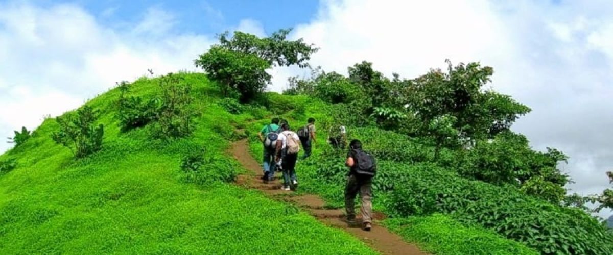 sk25slm7dmkd2jzrs3izynjp35wo_Tikon10